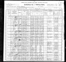 1900 United States Federal Census