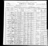 1900 United States Federal Census