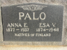 Img: Palo, Esaias