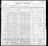 1900 United States Federal Census