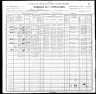 1900 United States Federal Census