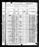 1880 United States Federal Census