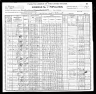 1900 United States Federal Census